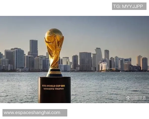 世界杯门票销量已近两百万张，第三阶段门票出售12月11日开端